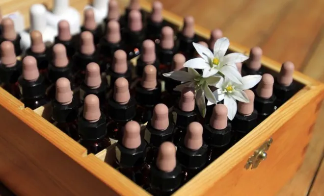 Gamme de fleurs de Bach, Saint-Denis (974), Harmony Spirit